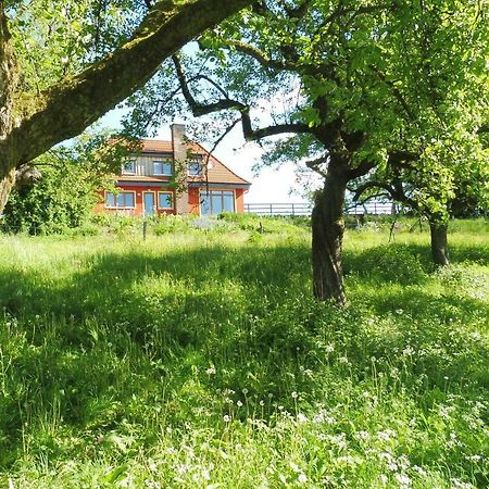 Kleine Villa Im Wilden Garten Gummersbach Bagian luar foto