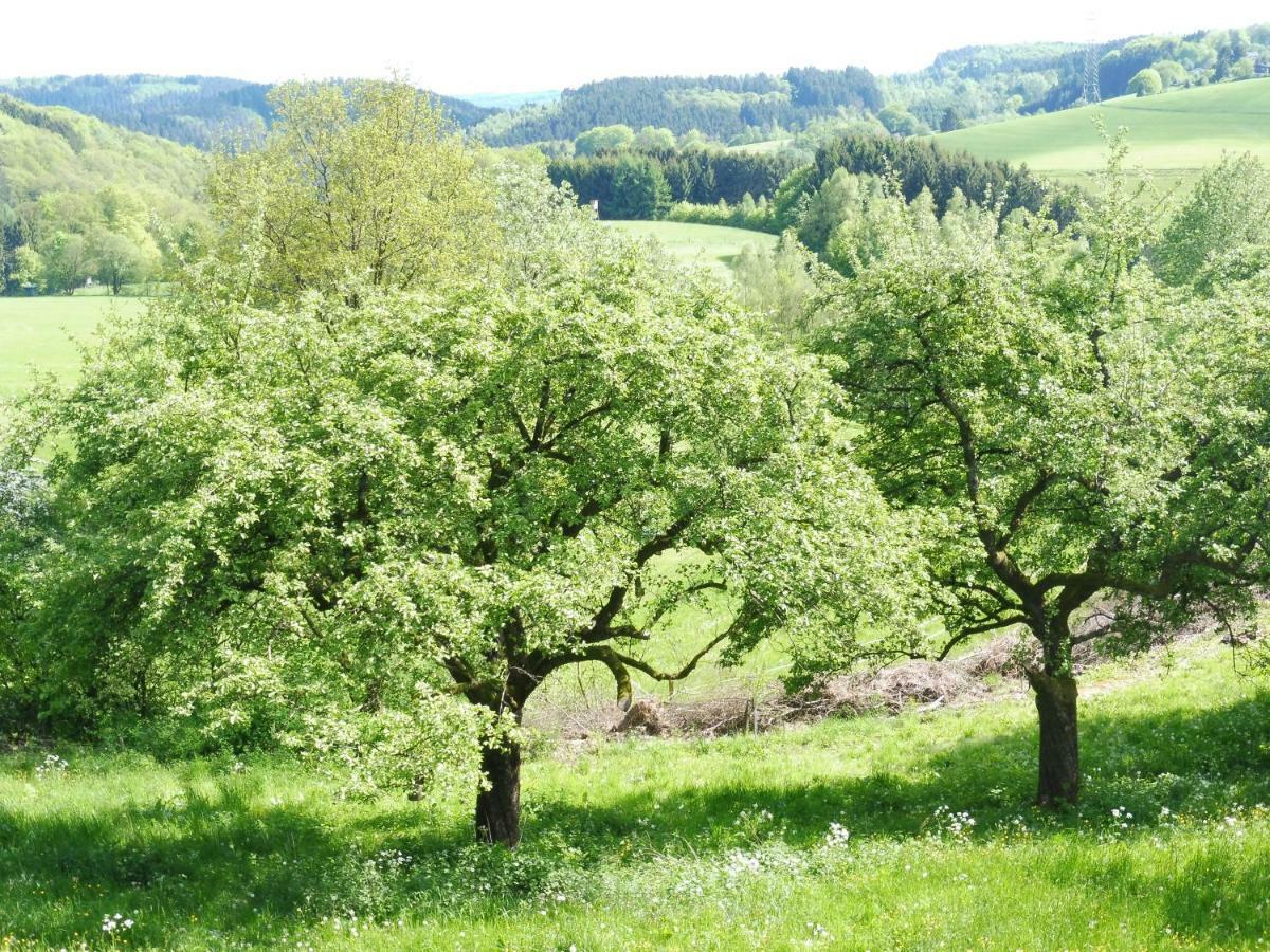 Kleine Villa Im Wilden Garten Gummersbach Bagian luar foto