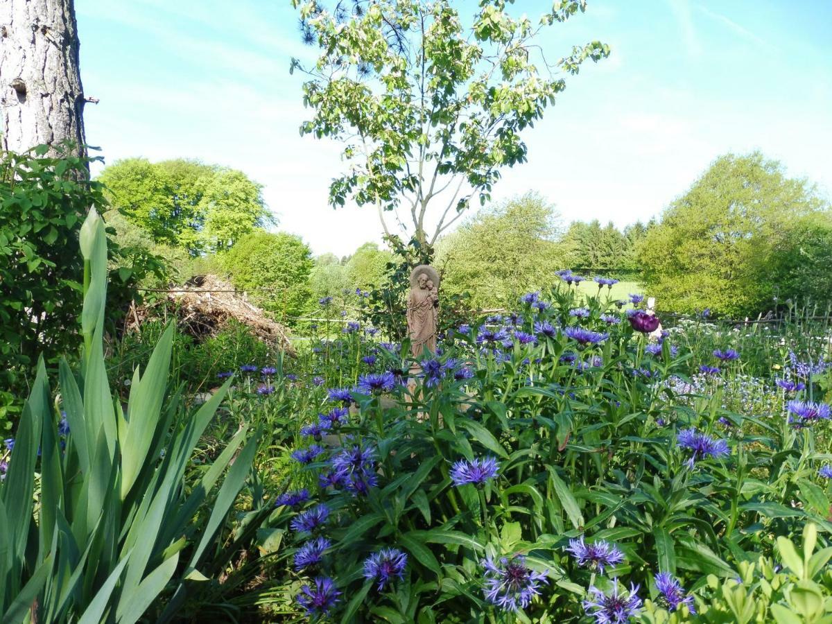 Kleine Villa Im Wilden Garten Gummersbach Bagian luar foto