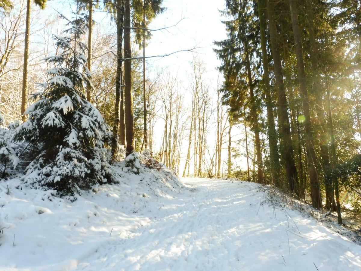 Kleine Villa Im Wilden Garten Gummersbach Bagian luar foto