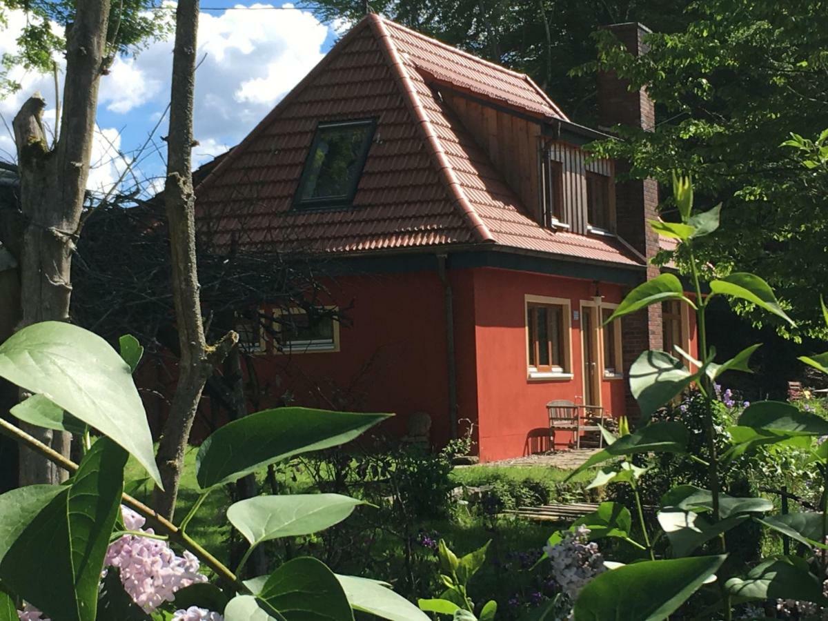 Kleine Villa Im Wilden Garten Gummersbach Bagian luar foto
