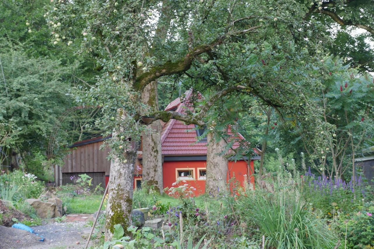 Kleine Villa Im Wilden Garten Gummersbach Bagian luar foto